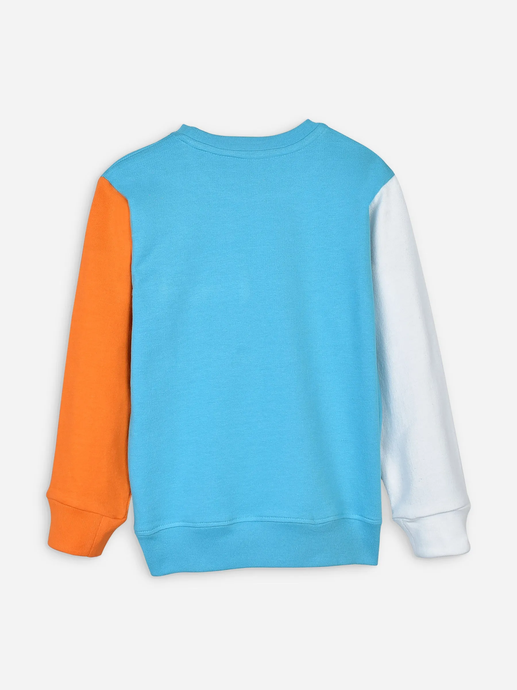 Aqua Blue Sweatshirt With Contrasting Sleeves