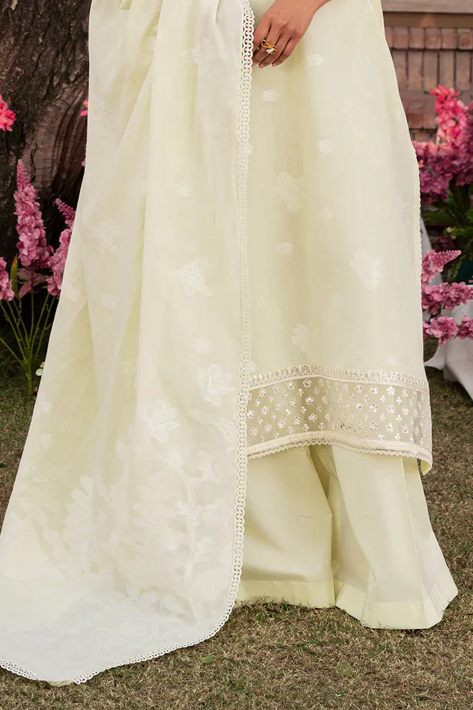 Cross Stitch | Eid Lawn 24 | DAINTY DOVE