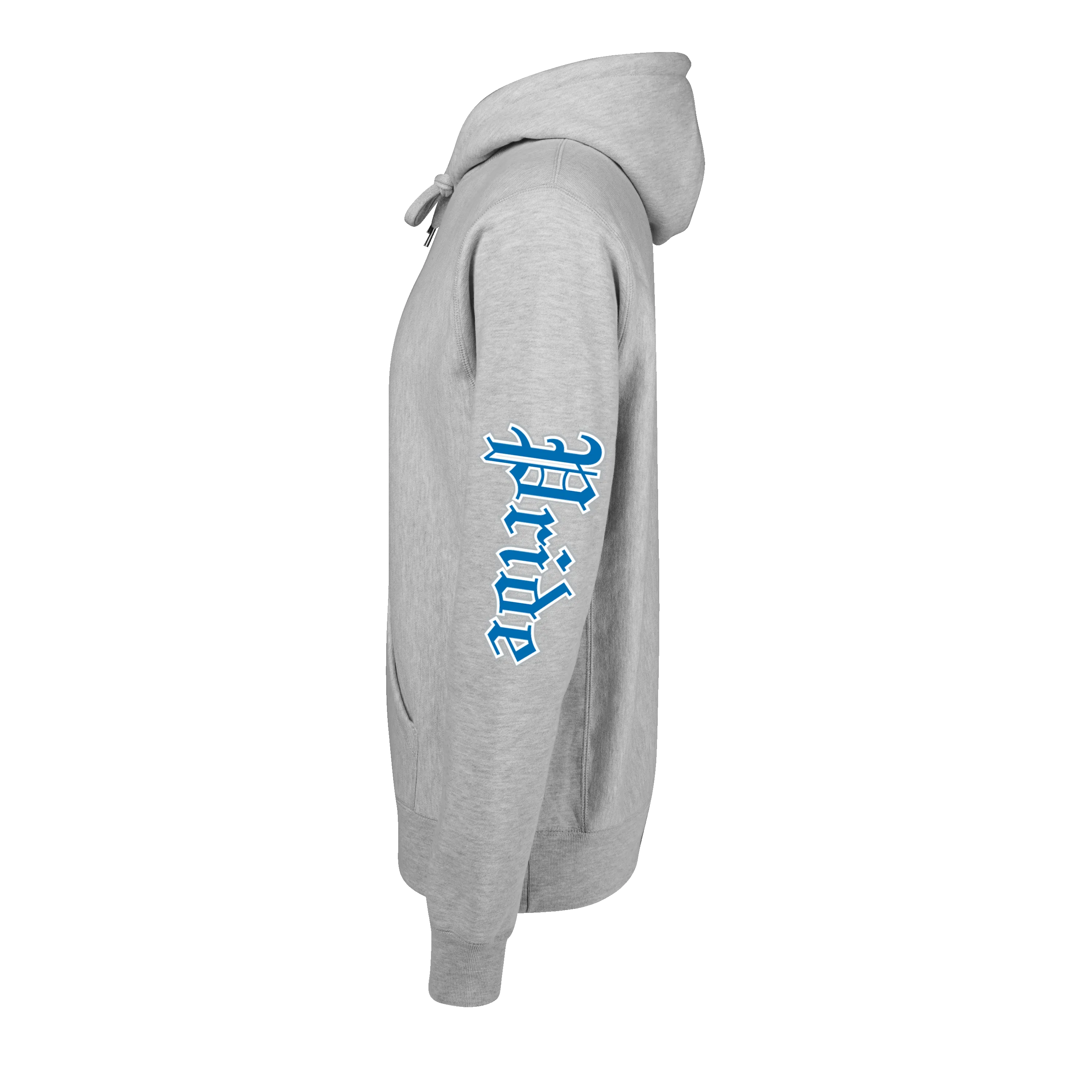 Detroit Lions One Pride Fireside Hoodie