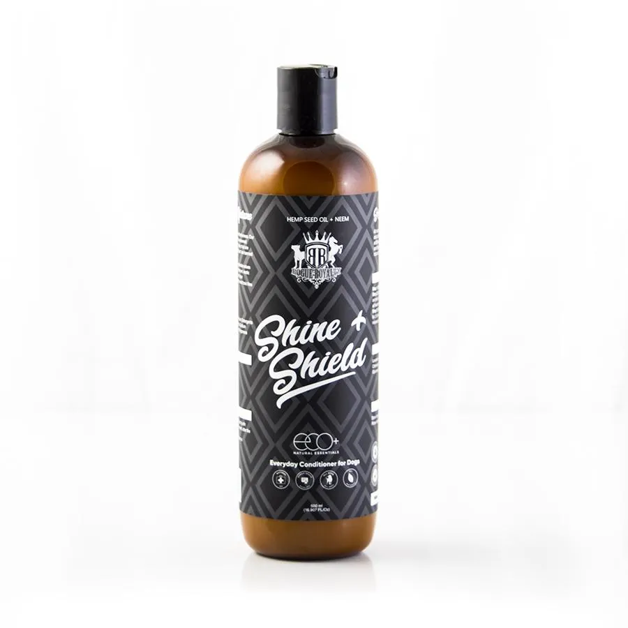 Everyday Conditioner | "Shine & Shield" (20% OFF)