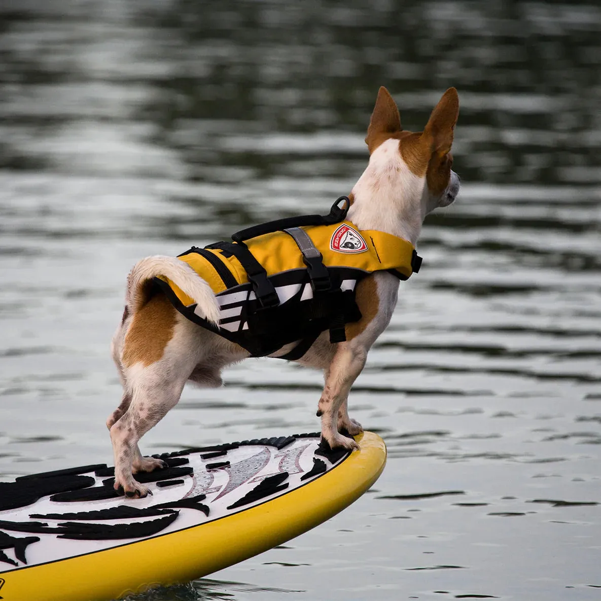 Ezydog Dfd Life Jacket Red Micro Extra Small