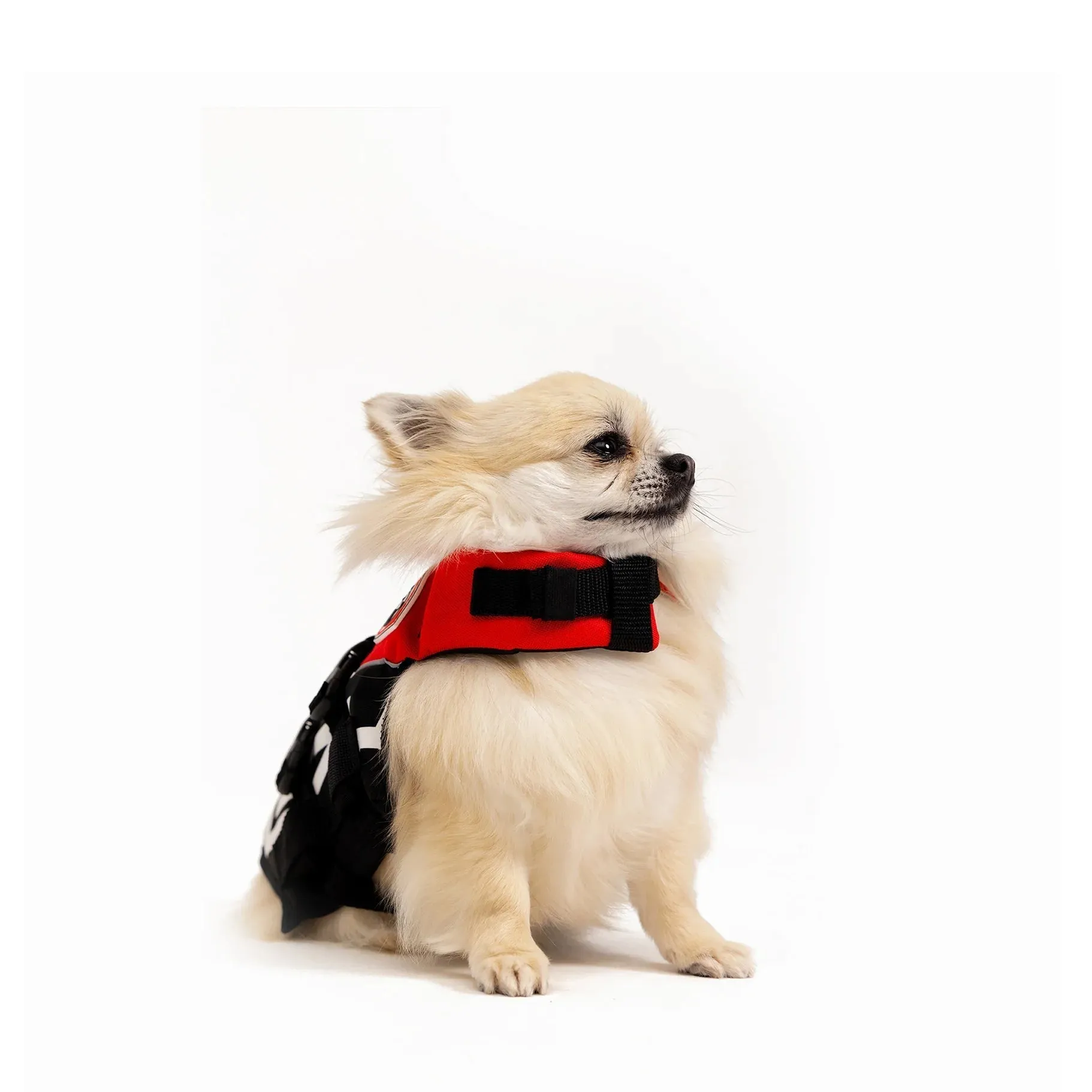 Ezydog Dfd Life Jacket Red Micro Extra Small