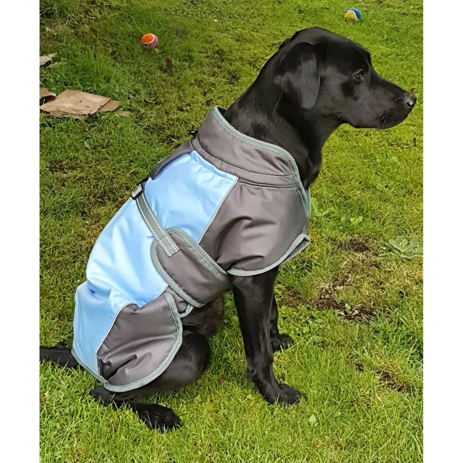 Henry Wag Waterproof Dog Coat