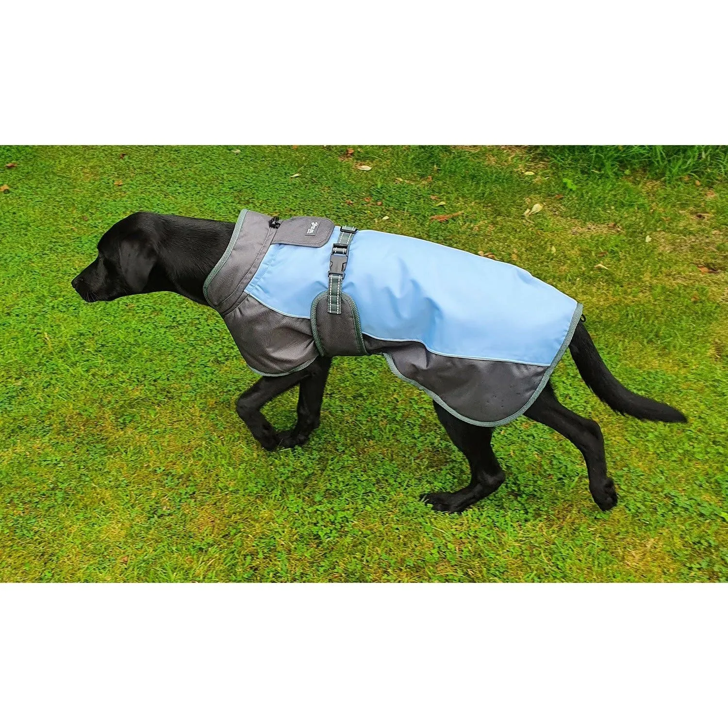 Henry Wag Waterproof Dog Coat