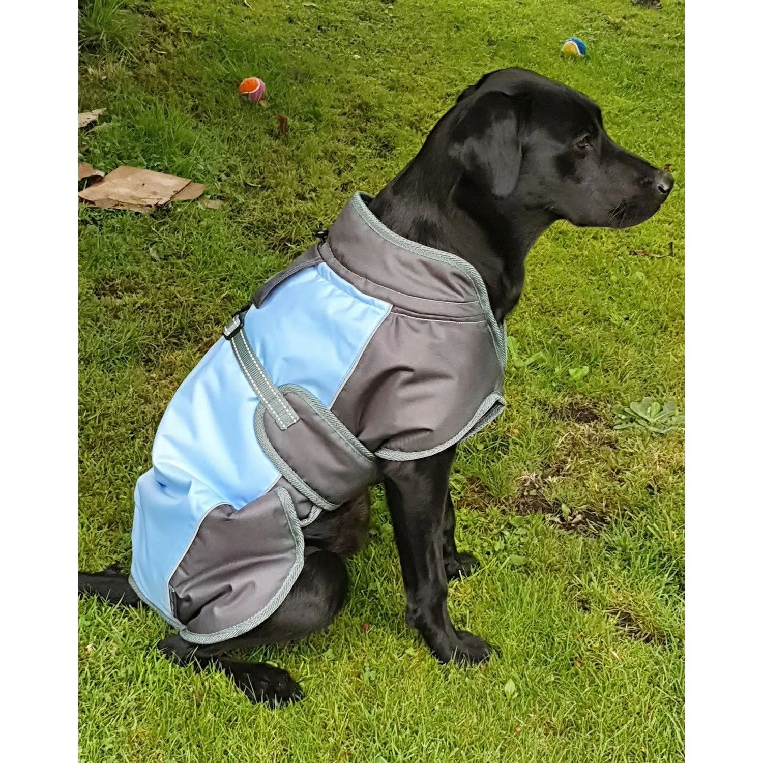 Henry Wag Waterproof Dog Coat