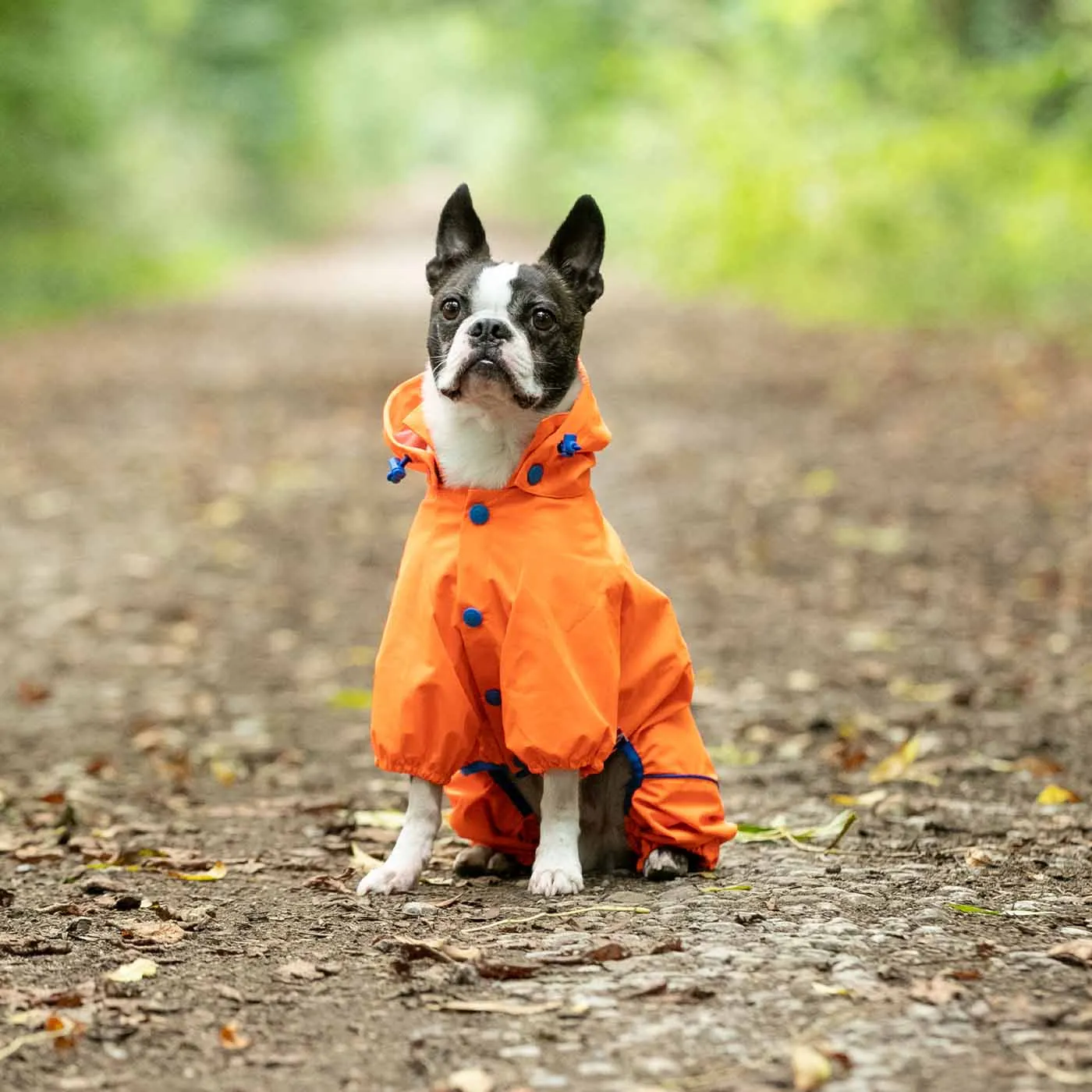 Hugo & Hudson Orange Reflective Hooded Dog Overalls