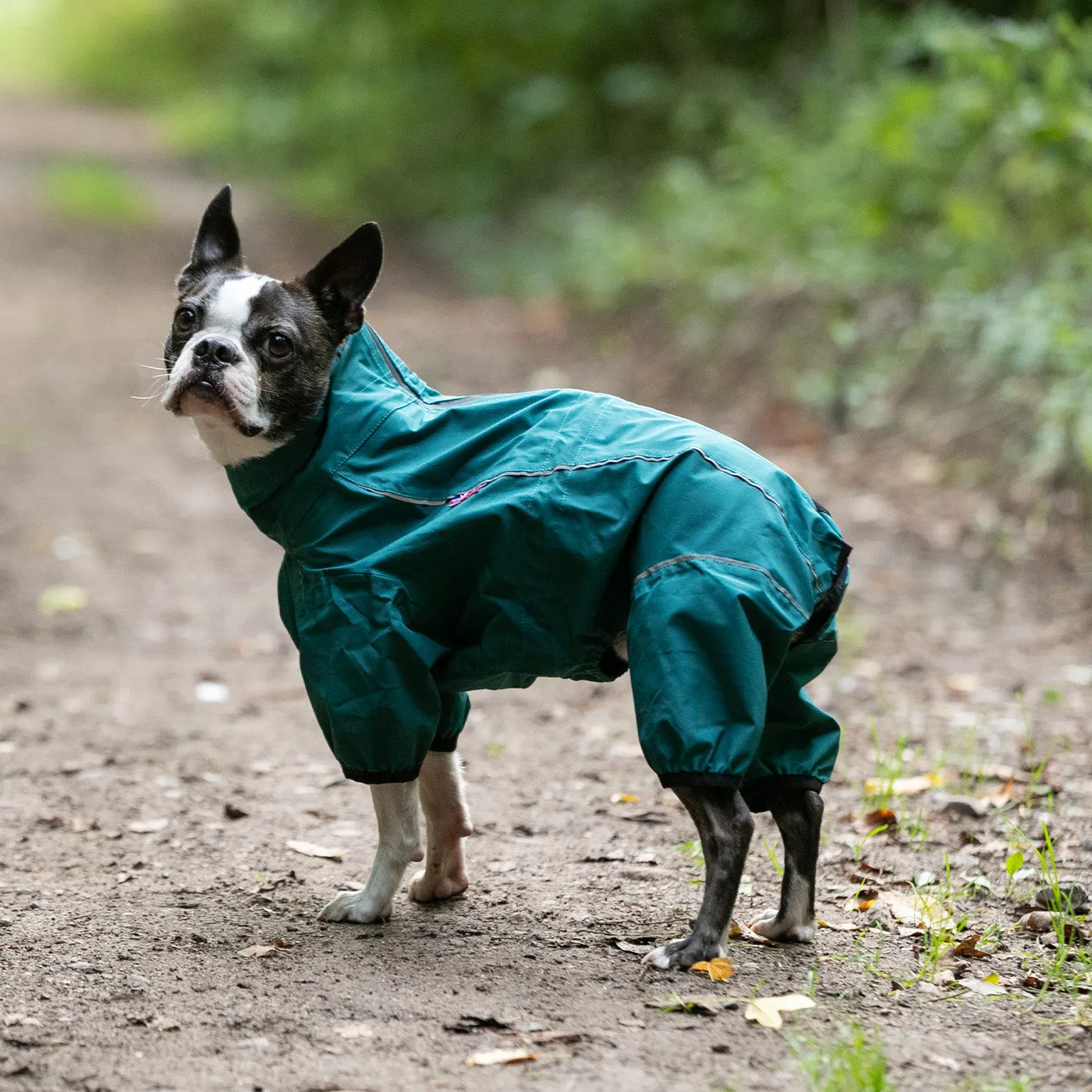 Hugo & Hudson Protective Dog Overalls