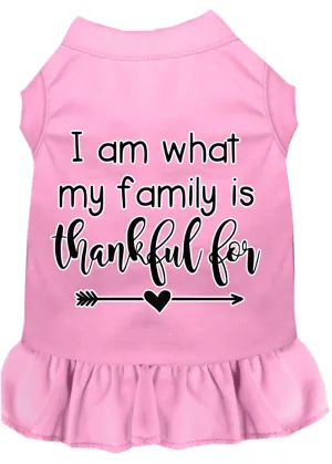 I Am What My Family Is Thankful For Screen Print Dog Dress Light Pink Xxl