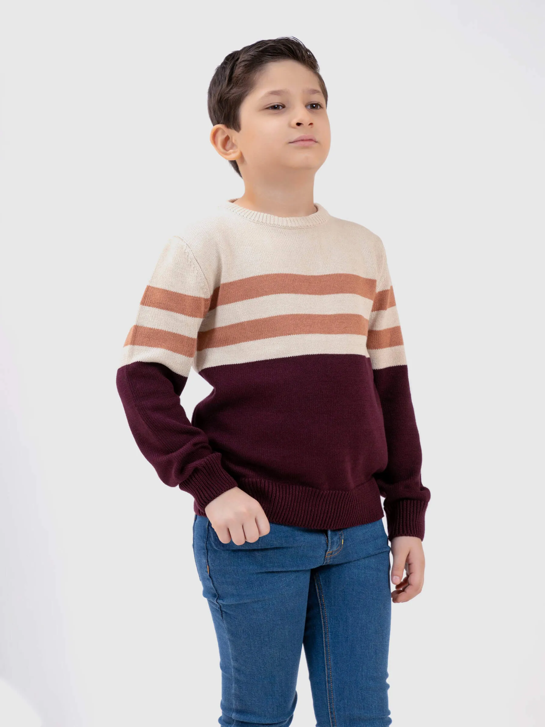 Maroon & Beige Striped Crew Neck Casual Jumper