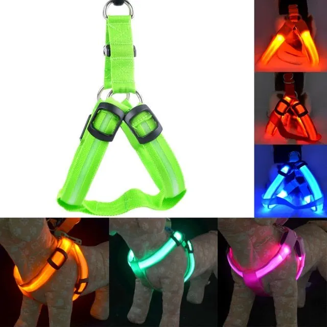 Rechargeable LED Dog Harness - Bright & Safe Walks, Day or Night!