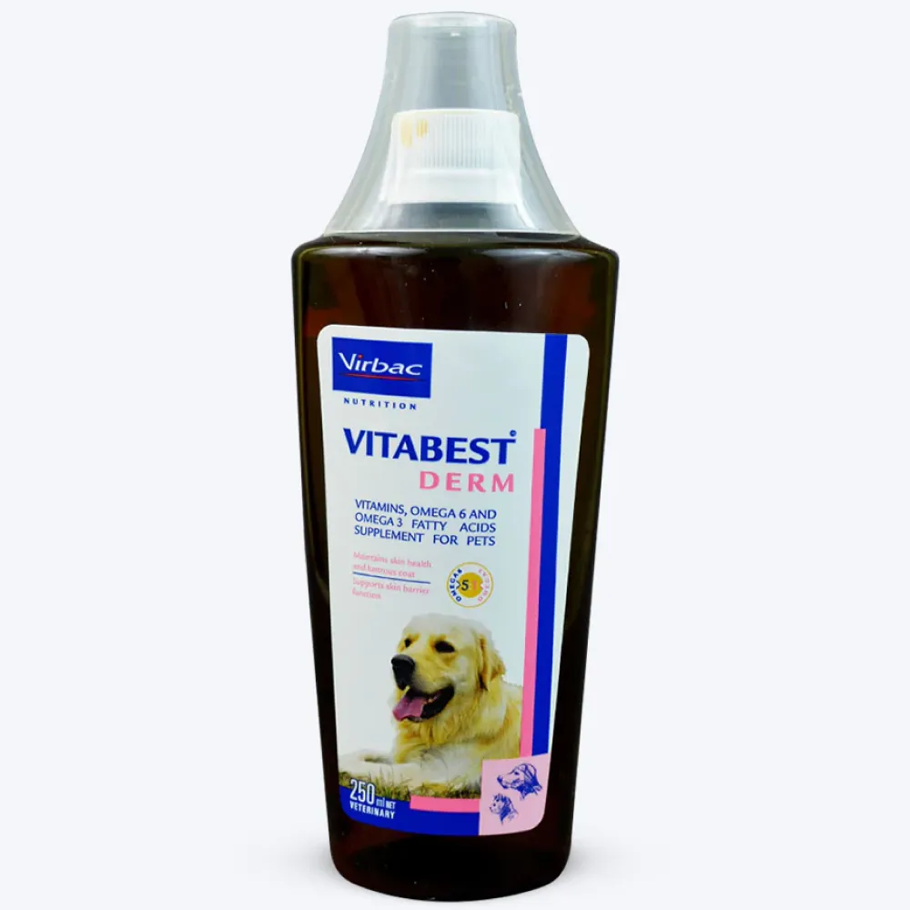 Virbac Vitabest Derm Omega Syrup (250ml) and Ketochlor Shampoo (200ml) Combo